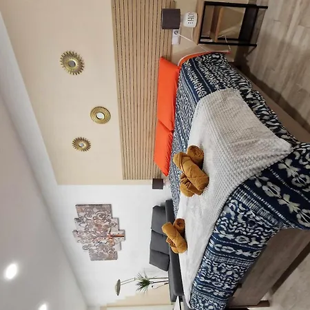 Loft Vida En El Centro Jerez 赫雷斯