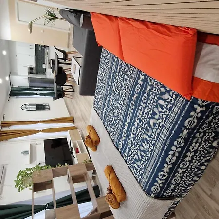 Loft Vida En El Centro Jerez 公寓 *